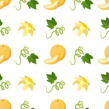 Seamless pattern with melons, flowers, curls and leaves. Cute summer print with Stock Illustration
