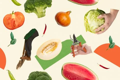 Seamless pattern with melons, shears, broccoli, cabbage, and gardener's boots Foto stock