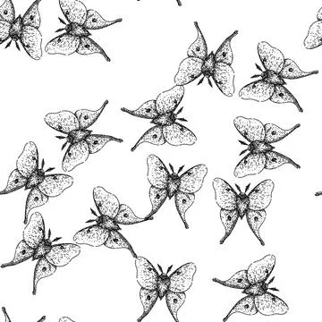 Seamless pattern metamorphosis night moth sketch hand drawn Stock Illustration