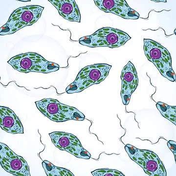 Seamless pattern with microorganisms Euglena on blue background Stock Illustration