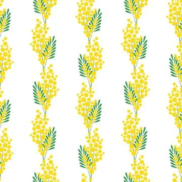Seamless pattern with mimosa blossoms. Spring design for wallpaper, fabric,.. Illustrazione stock