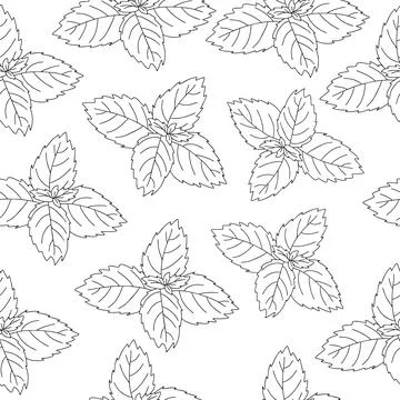 Seamless pattern of mint leaf icon. Isolated illustration of a mint leaf icon Stock Illustration