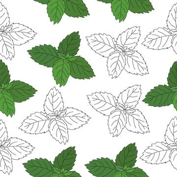 Seamless pattern of mint leaf icon. Isolated illustration of a mint leaf icon in Stock Illustration