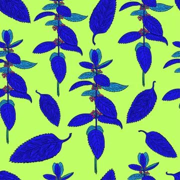 Seamless pattern with mint leaves and plants. Hand drawing. Stock Illustration
