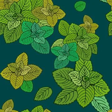 Seamless pattern of mint leaves on a blue background. Stock Illustration