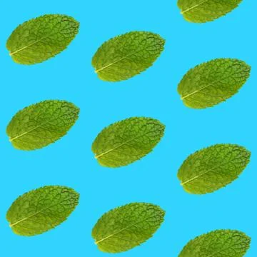 Seamless pattern of mint leaves on blue Foto stock