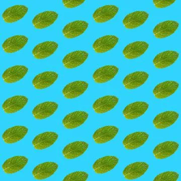 Seamless pattern of mint leaves on blue Foto stock