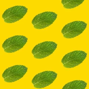 Seamless pattern of mint leaves on yellow Foto stock