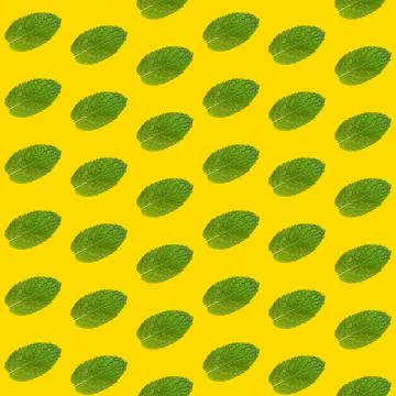 Seamless pattern of mint leaves on yellow Foto stock