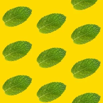 Seamless pattern of mint leaves on yellow Seamless pattern of fresh green ... Foto stock