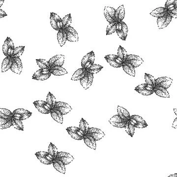 Seamless pattern mint mint sketch hand drawn 库存插图