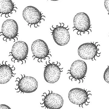 Seamless pattern mite tick sketch hand drawn Ilustração Stock