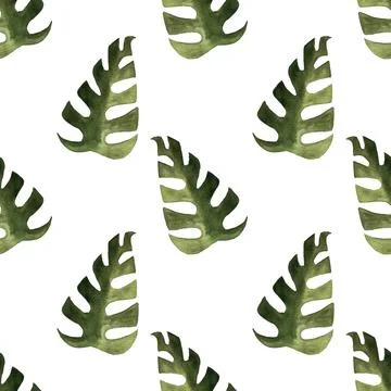 Seamless pattern of monstera and philodendron watercolor leaves hand drawn Illustrazione stock
