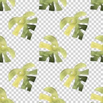 Seamless pattern of monstera and philodendron watercolor leaves hand drawn Stock Illustration