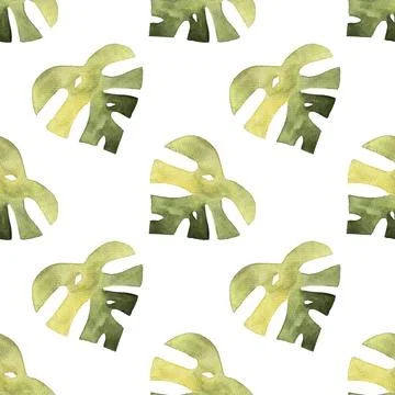 Seamless pattern of monstera and philodendron watercolor leaves hand drawn Stock Illustration