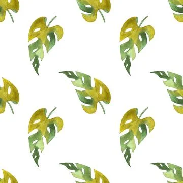 Seamless pattern of monstera and philodendron watercolor leaves hand drawn Stock Illustration