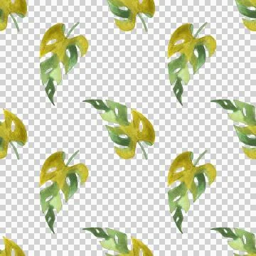 Seamless pattern of monstera and philodendron watercolor leaves hand drawn Stock Illustration