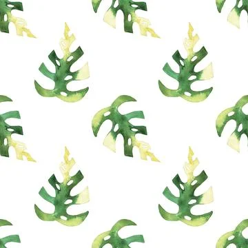 Seamless pattern of monstera and philodendron watercolor leaves hand drawn Stock Illustration