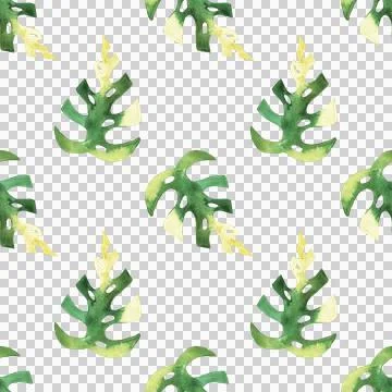 Seamless pattern of monstera and philodendron watercolor leaves hand drawn Stock Illustration