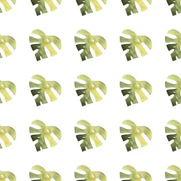 Seamless pattern of monstera and philodendron watercolor leaves hand drawn Stock Illustration