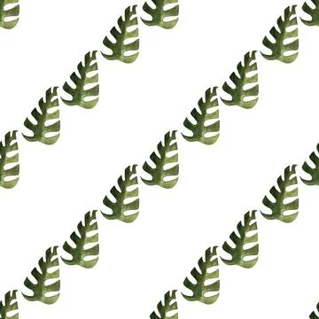 Seamless pattern of monstera and philodendron watercolor leaves hand drawn Stock Illustration