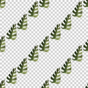 Seamless pattern of monstera and philodendron watercolor leaves hand drawn Stock Illustration