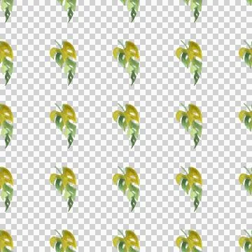 Seamless pattern of monstera and philodendron watercolor leaves hand drawn Stock Illustration
