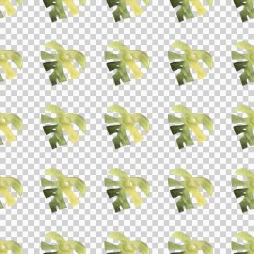 Seamless pattern of monstera and philodendron watercolor leaves hand drawn Stock Illustration