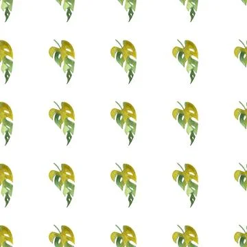 Seamless pattern of monstera and philodendron watercolor leaves hand drawn Stock Illustration