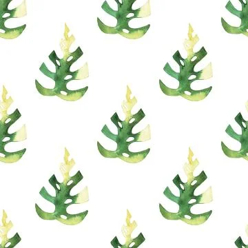Seamless pattern of monstera and philodendron watercolor leaves hand drawn Stock Illustration