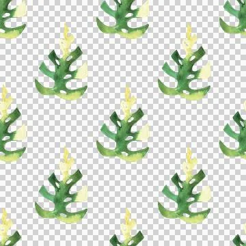 Seamless pattern of monstera and philodendron watercolor leaves hand drawn Stock Illustration