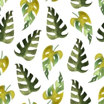 Seamless pattern of monstera and philodendron watercolor leaves hand drawn Illustrazione stock