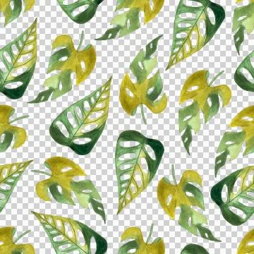 Seamless pattern of monstera and philodendron watercolor leaves hand drawn Illustrazione stock