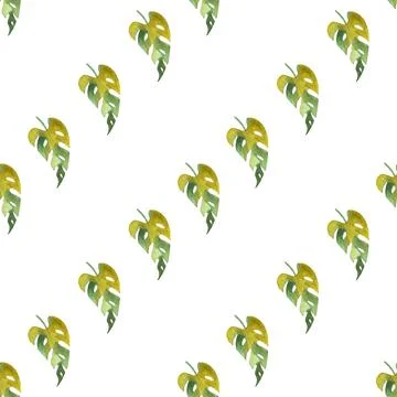 Seamless pattern of monstera and philodendron watercolor leaves hand drawn Illustrazione stock