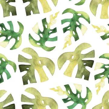 Seamless pattern of monstera and philodendron watercolor leaves hand drawn Stock Illustration