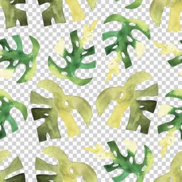 Seamless pattern of monstera and philodendron watercolor leaves hand drawn Stockillustratie