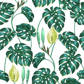 Seamless pattern with monstera leaves. Decorative image of tropical foliage and Stock-Illustration