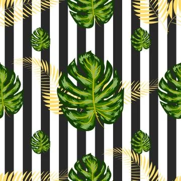 Seamless pattern of monstera leaves. Tropical leaves on hand drawn ink stripe Stock Illustration