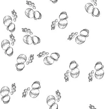 Seamless pattern mozzarella cheese sketch hand drawn Stock Illustration