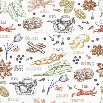 Seamless pattern with multi-colored spices on white background Stock Illustration