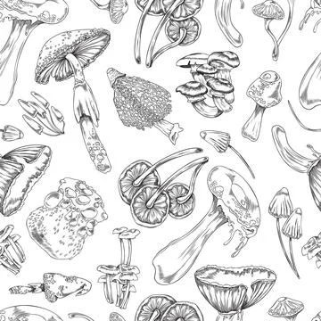 Seamless pattern with mushrooms hand drawn engraving style vector illustration. Stock Illustration