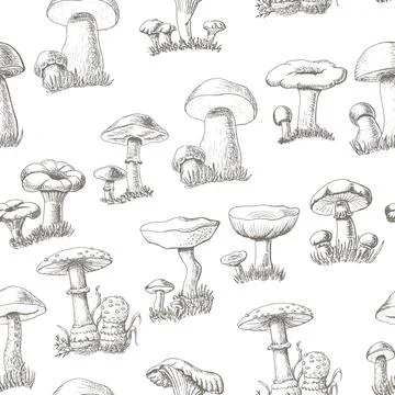 Seamless pattern with mushrooms on a white background Illustrazione stock