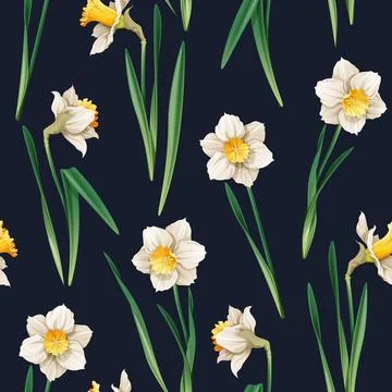 Seamless pattern with narcissus flowers. Spring fabric design. Floral print.. Stock Illustration