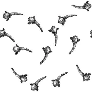 Seamless pattern natural clove spice sketch hand drawn Stock Illustration
