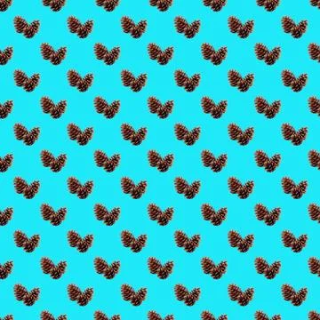 Seamless pattern of natural dried pine cones on sky blue background Stock Photos