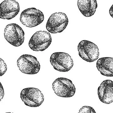 Seamless pattern natural guarana fruit sketch hand drawn Stock Illustration