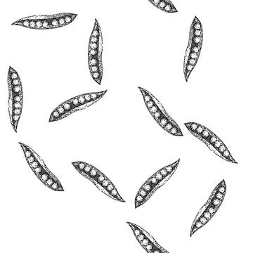 Seamless pattern natural pea sketch hand drawn Stock Illustration