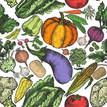 Seamless pattern of natural vegetables hand drawn for menu or advertising. De Stock Illustration