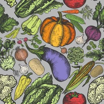 Seamless pattern of natural vegetables hand drawn for menu or advertising. De Stock Illustration