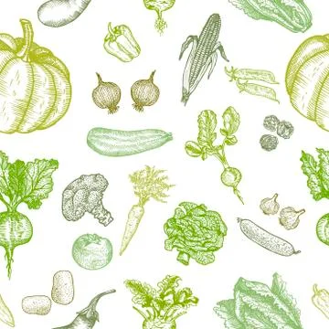 Seamless pattern of natural vegetables. Vector hand drawing. Stock Illustration